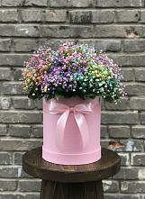 Цветочная композиция из Гипсофила и Розы в шляпной коробке #REPLACE_PRED# Удобный