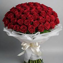 Букет 101 Красная роза Блэк Мэджик в Удобный